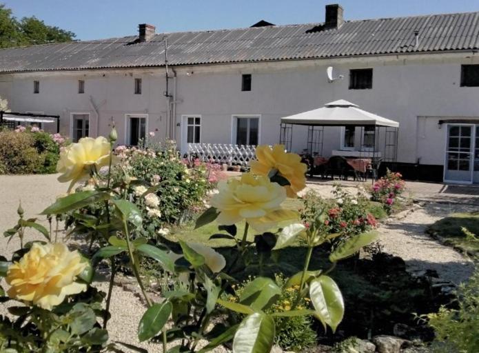 Le Vieux Logis Bed and Breakfast Montreuil-Bellay Buitenkant foto