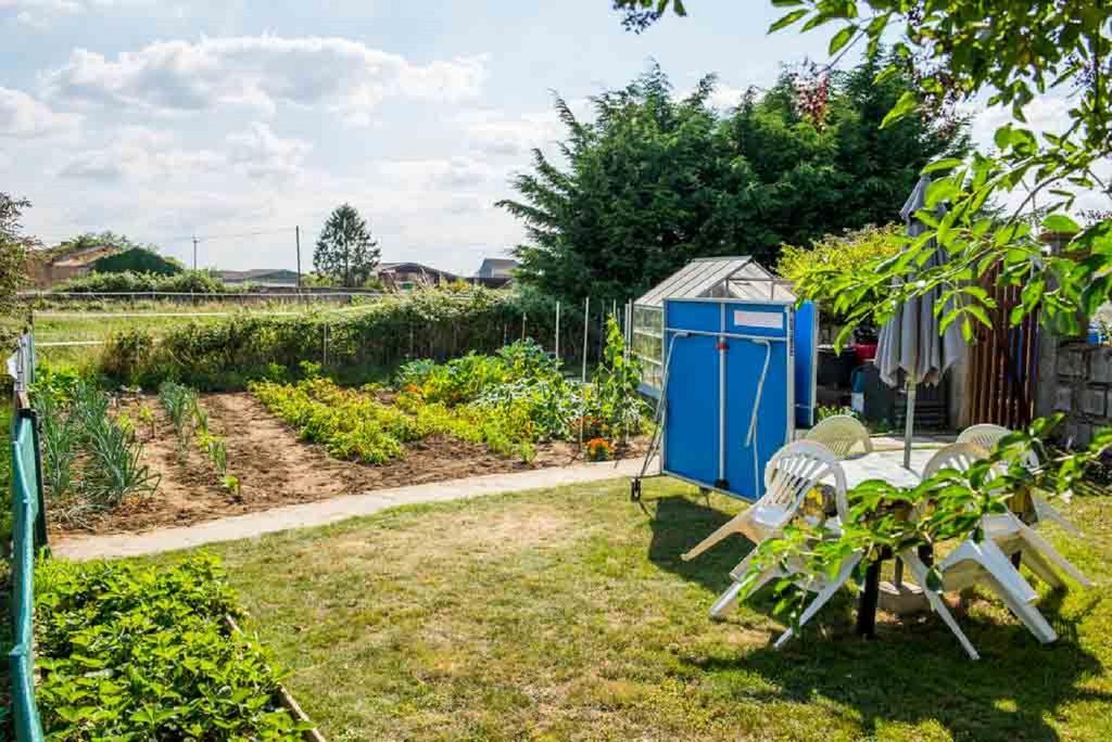 Le Vieux Logis Bed and Breakfast Montreuil-Bellay Buitenkant foto